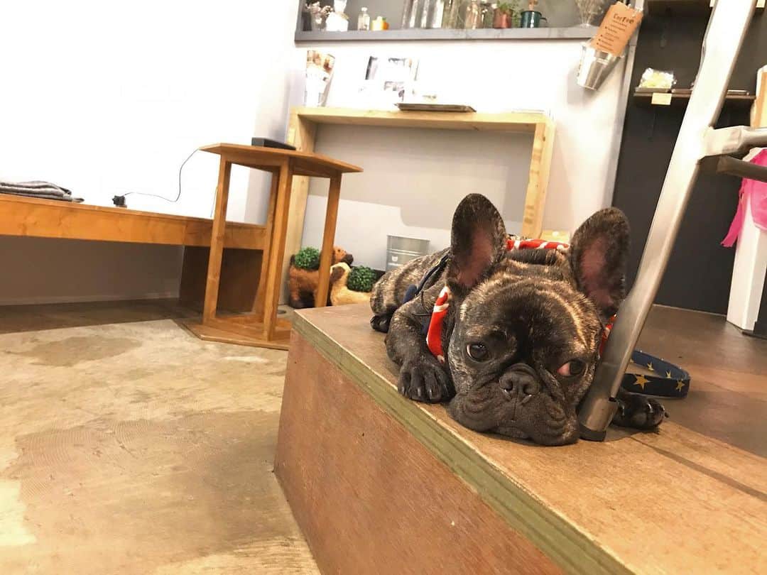 HeyCoffeeのグルメインスタ