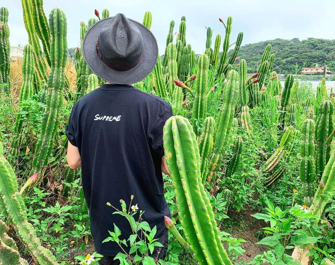 加代憲康さんのインスタグラム写真 - (加代憲康Instagram)「☺️☺️☺️☺️☺️☺️ 🌵🌵🌵🌵🌵 okinawa 🌵🌵🌵🌵🌵 ♦︎♦︎♦︎♦︎♦︎♦︎♦︎♦︎♦︎♦︎♦︎♦︎ サロンワーク終了 ♦︎♦︎♦︎♦︎♦︎♦︎♦︎♦︎♦︎♦︎♦︎♦︎ 😌沢山のご来店😌 😆ありがとうございました😆  #supreme#supremeny #thenorthface #thenorthface  #supremenewyork #supremeboxlogo #supremejapan #louisvuitton #supremelv#シュプリーム #commedesgarcons#sacai#sacai #sacainike #NIKE #gopro7#沖縄旅行計画 #沖縄#沖縄旅行 #okinawa#okinawacafe」8月10日 19時27分 - kasshi_cleto