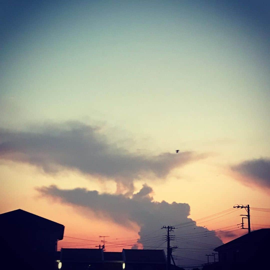 佐野史郎のインスタグラム