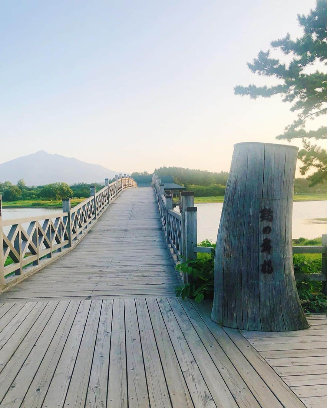 新矢皐月さんのインスタグラム写真 - (新矢皐月Instagram)「日本一の橋 ♡ ♡ ----------------------------- 🌉鶴の舞橋 青森県北津軽郡鶴田町 大字廻堰大沢81-150 ------------------------------ . . 何が日本一かというと 長さ300mで木造の三連太鼓橋として 日本一の長さの木橋だそうです！！ . しかも使用しているのは 青森県産の「ひば」 . . 遠くに見える山は 岩木山です🏔 . . 行ったことあるかな？？ こういうのどうですか？？ . . #鶴の舞橋 #青森ひば #岩木山 #津軽富士見湖 #津軽富士 #観光スポット  #日本一 #木造建築 #青森 #青森県 #青森旅行 #青森観光 #青森観光スポット #さつき青森 #国内旅行 #japan_vacations #japanculture #japan_photo_now #japanesegirl #aomoringo #aomori」8月10日 20時15分 - araya_satsuki