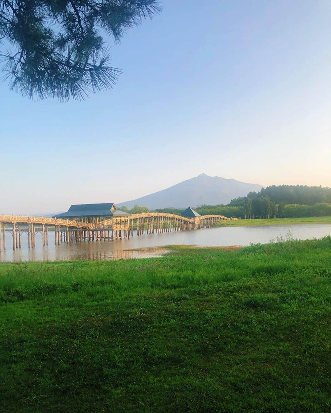 新矢皐月さんのインスタグラム写真 - (新矢皐月Instagram)「日本一の橋 ♡ ♡ ----------------------------- 🌉鶴の舞橋 青森県北津軽郡鶴田町 大字廻堰大沢81-150 ------------------------------ . . 何が日本一かというと 長さ300mで木造の三連太鼓橋として 日本一の長さの木橋だそうです！！ . しかも使用しているのは 青森県産の「ひば」 . . 遠くに見える山は 岩木山です🏔 . . 行ったことあるかな？？ こういうのどうですか？？ . . #鶴の舞橋 #青森ひば #岩木山 #津軽富士見湖 #津軽富士 #観光スポット  #日本一 #木造建築 #青森 #青森県 #青森旅行 #青森観光 #青森観光スポット #さつき青森 #国内旅行 #japan_vacations #japanculture #japan_photo_now #japanesegirl #aomoringo #aomori」8月10日 20時15分 - araya_satsuki