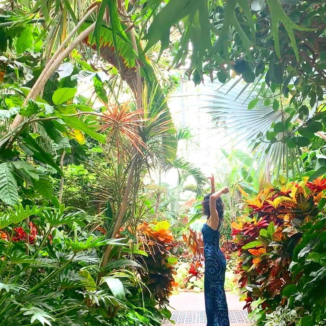 ノーマさんのインスタグラム写真 - (ノーマInstagram)「🌏🌵🌱🦜🌴🥀🍀 ヨガ、ダンス、ペインティング、ワイン乾杯、次はイベントに合わせて来たい植物園🕺🏻 thank you @foofoonut  @tomokmok ♥️ #newyork #longisland #botanics #nomatrip  #plantingfieldsaboretum  #巨大植物園」8月7日 0時31分 - noma77777