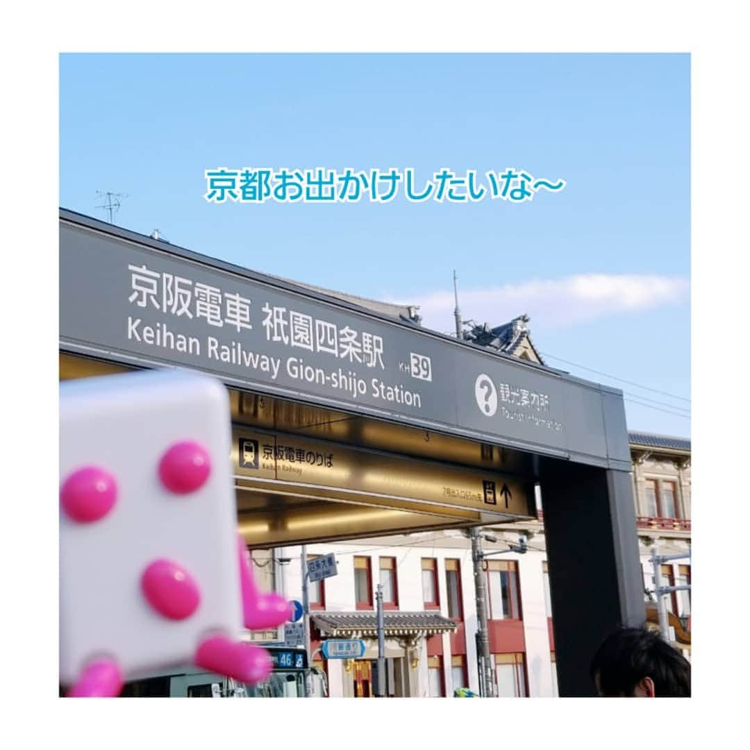 UHA味覚糖公式アカウントのインスタグラム：「こんばんわい～😆🌈 今日は元々の部署🏢の  親しくしている方と  お疲れ様でした会をしてたねん‼️ 明日もお仕事やから わいは呑んでないにも 関わらずHighやで⤴️ めちゃくちゃ 遅くなってもうたから  短くて わいのお写真📷だけで ごめんやで🐘🍯 ほな、わいが以前京都に お出かけしたときの写真📷で  さいなら～ 短くてごめんやで ゆるちて  #京都感そんなない件 #ぷっちょ君の毎日 #ぷっちょ君の日常」