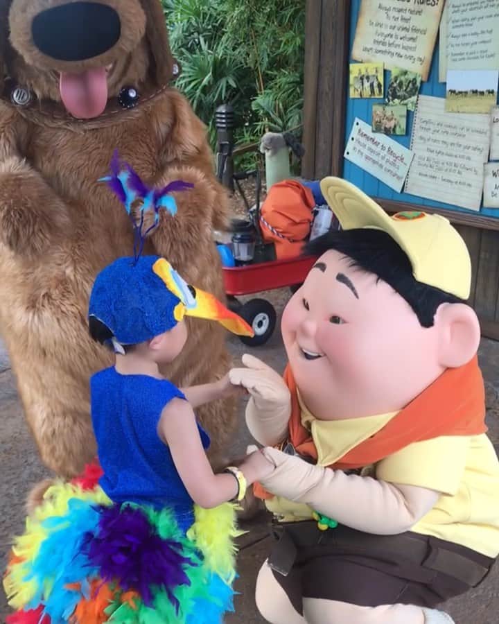 tiahy__のインスタグラム：「He was able to meet the best pals. . . . . . RussellもDugもcast membersも周りの人々も、 みんなみんな優しくて、あたたかくて、 . . アメリカが本当に大好きです. . . 最高の仲間に出逢えてよかったね！Kevin!!. . RussellもDugもサイン書いてくれて、 仲間の証だね 大切な宝物だね☺️. #kevin_taia #wdw#epcot#waltdisneyworld#animalkingdom#taiacostume#disney#disneybaby#disneykids#disneyfamily#kevin#up#pixar#ケヴィン#ケビン#カールじいさんの空飛ぶ家#ディズニーコスチューム#ディズニー衣装」