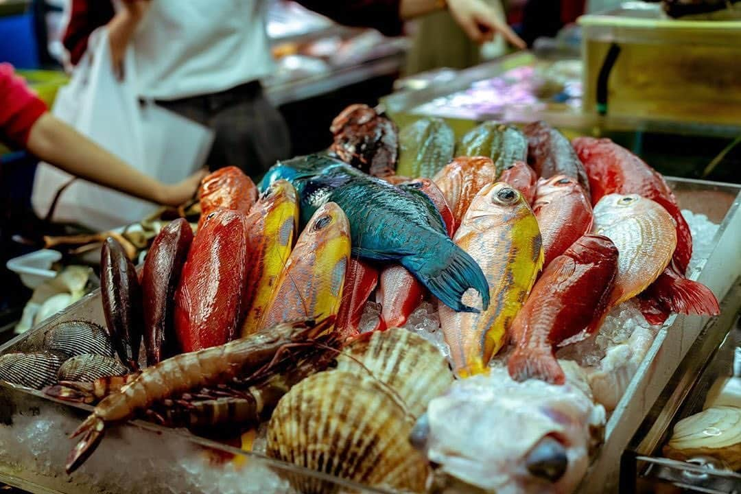 Be.okinawaさんのインスタグラム写真 - (Be.okinawaInstagram)「Okinawan markets are filled with tropical fish in vibrant colors! 📷:@hiro_hasuike  #firstmakishipublicmarket #naha #第一牧志公設市場 #那霸 #제1마키시공설시장 #나하 #那覇 #魚 #fish #market #beokinawa #visitokinawa」8月6日 16時02分 - visitokinawajapan