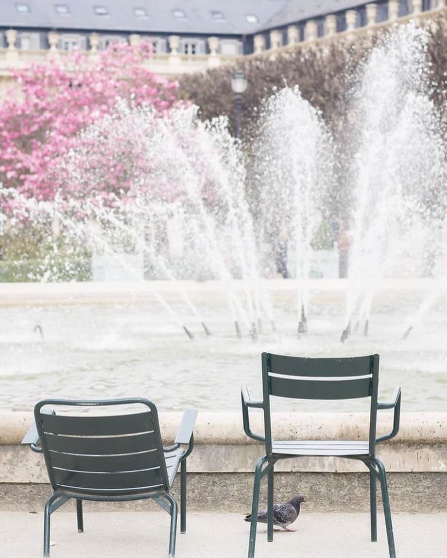 ジャマンピュエッシュのインスタグラム：「Morning vibes in the Palais Royal garden. . #inspiration #paris #parisfrance #palaisroyal」