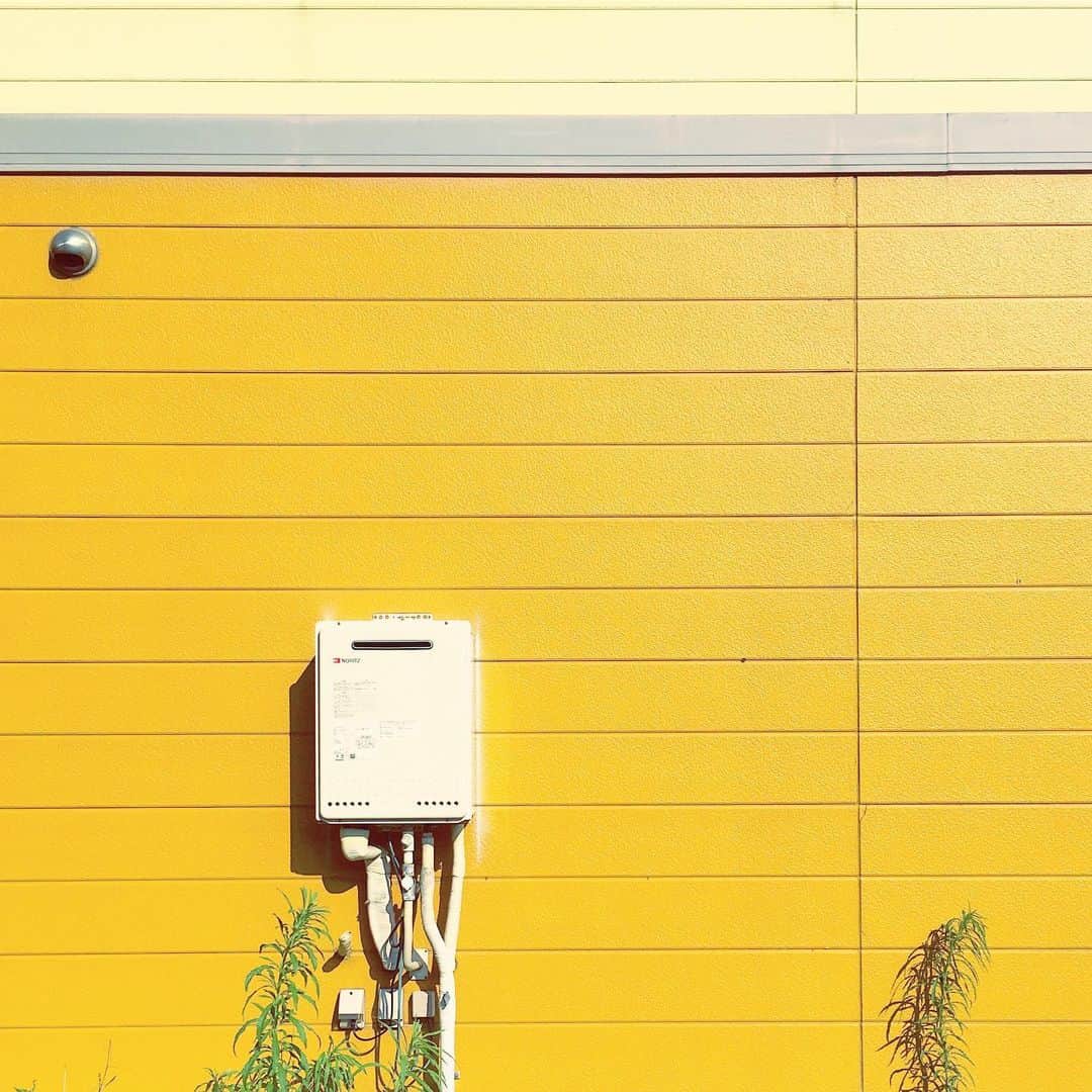 まめのインスタグラム：「Summer yellow. . . 🌻 #ザ壁部 #ihaveathingforwalls . #mwjp #igersjp #indies_minimal #reco_ig #shotoniphone #youmobile」