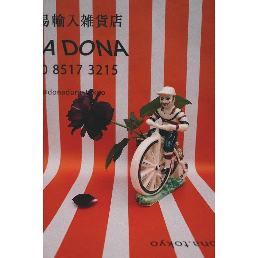 eriさんのインスタグラム写真 - (eriInstagram)「DONADONAにいれた 自転車乗りと切り株の花瓶 かわいかったな〜 @donadona_tokyo」8月6日 17時33分 - e_r_i_e_r_i