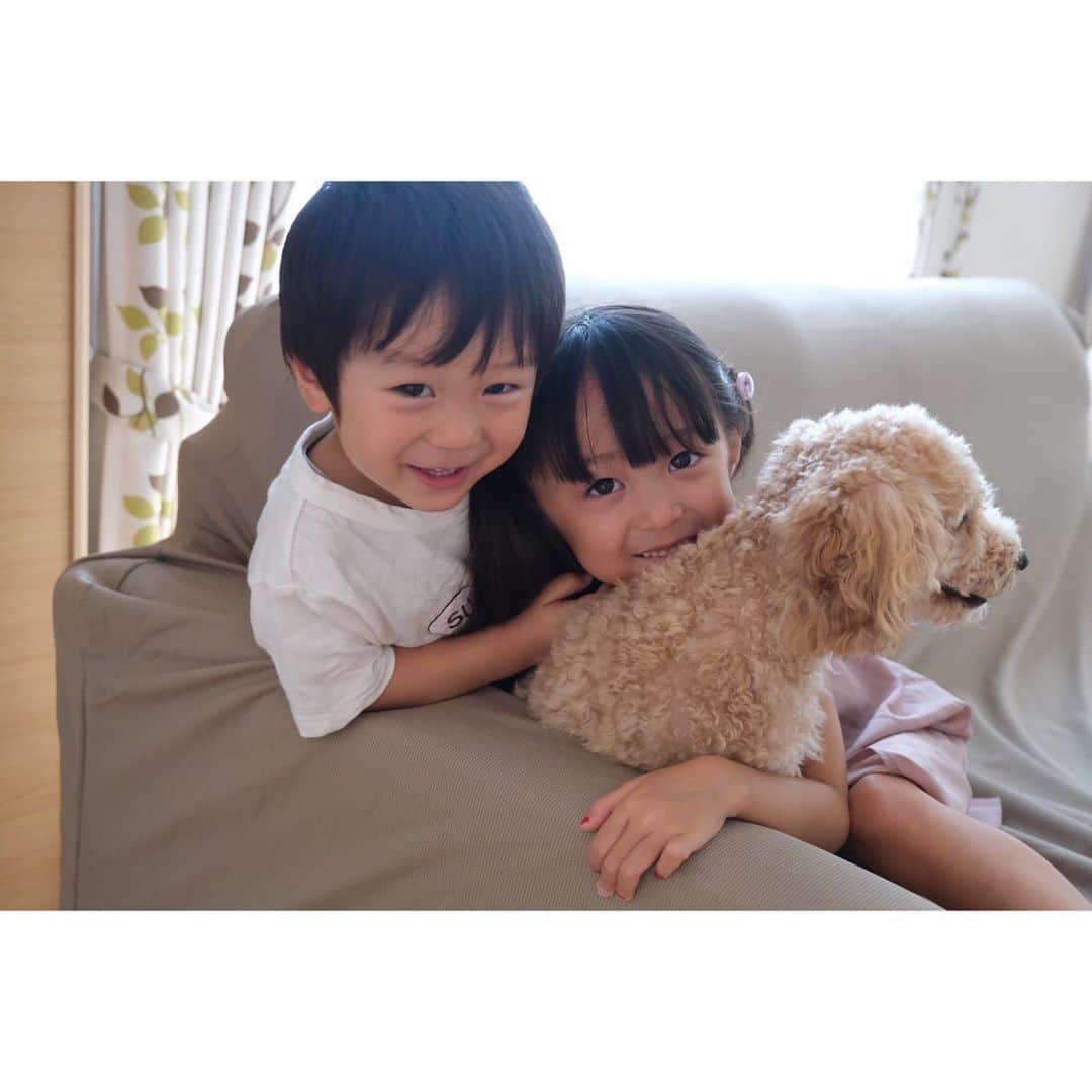 Ai.tさんのインスタグラム写真 - (Ai.tInstagram)「. 仲良しな人たち👧👦🐶 . . 昊也を押し退けて渚の方にいくニコさん…😅 . . 面白すぎて20分以上やってたら一番最初にバテたというか飽きたのはニコさん💁‍♀️ #すぐにゲージに戻る子 . そういえば登録だけして放置してた楽天ルーム、今まで買ってるものやよく聞かれるもの載せときました💁‍♀️ 楽天ヘビーユーザーなんだけど今更感😂 ゆるーくやってくから暇な方の暇つぶしに💁‍♀️ . . 2019.08.06 #nagisa_kouya_movie #fujifilm_xseries #xt30 #姉弟 #5歳 #2歳 #仲良し」8月6日 17時34分 - ngs.rky.kuy