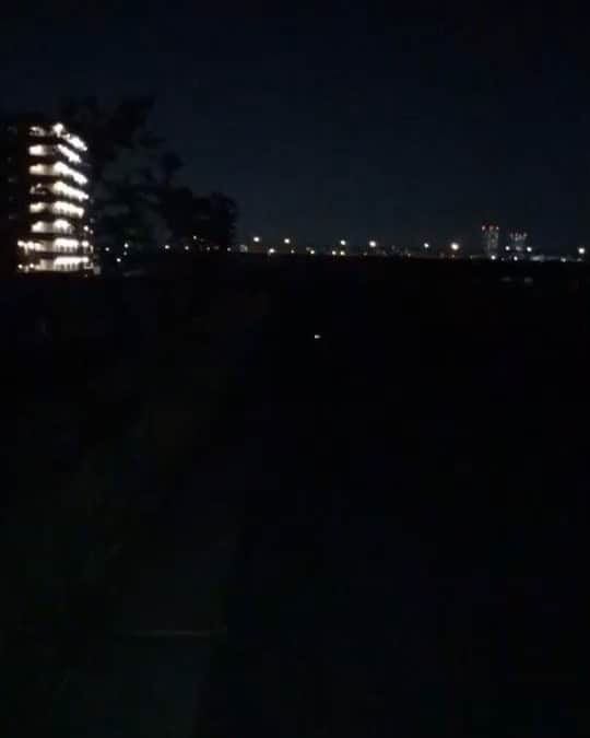 小川暖奈のインスタグラム：「なでなでしたもんだから後ろをちょこちょこ付いてきてて、 もーう！😚と、わたしがしゃがんだらスピード早めてこっちに走ってきた、、たまらなかった、、、kawaii、、、 #生き物」