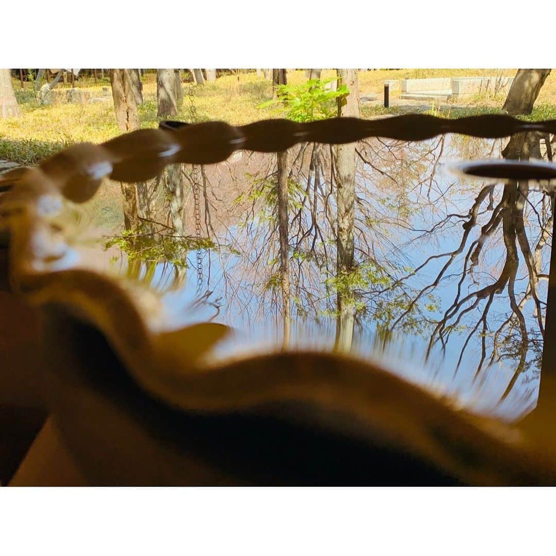 星野リゾート 界の若者旅さんのインスタグラム写真 - (星野リゾート 界の若者旅Instagram)「6つのPOINTで撮影し、# をつけて投稿するフォトラリーイベント「#ハッシュタグラリー 」📸 本日は界 鬼怒川の#映えスポット をご紹介😊 * 小高い丘に佇むとちぎ民藝が光る木漏れ日の湯宿♨️界 鬼怒川の映えスポットは、益子焼でできた水琴窟に映る中庭🍃✨✨ 時の流れに合わせて表情が変わる中庭と、水琴窟の美しい音色をお楽しみください😌🎶 夏は「黒羽藍染（くろばねあいぞめ）」で、館内を藍色に染め上げます❗️ * 以下のハッシュタグをつけて、投稿してね👇👇 #界タビ20s  #界鬼怒川映えスポット #益子焼の水琴窟に映る中庭」8月6日 18時55分 - hoshinoresorts.kai