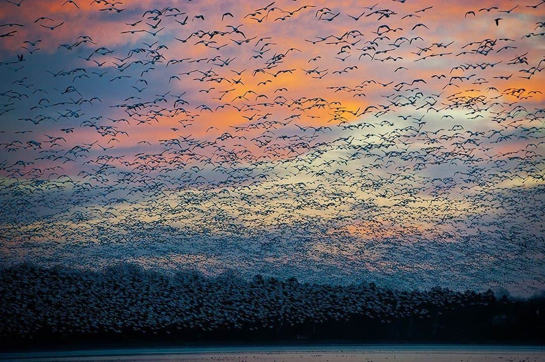 National Geographic Creativeのインスタグラム