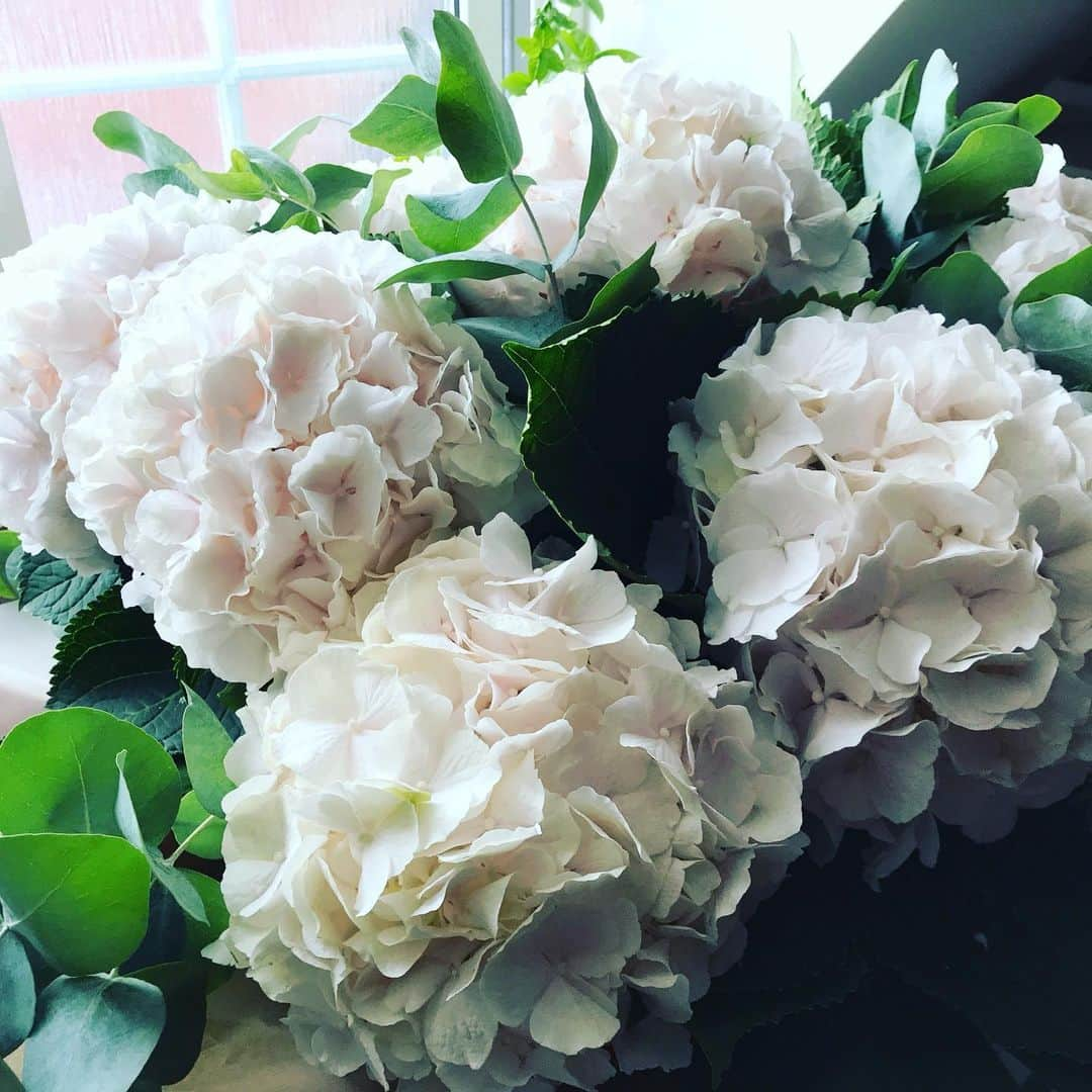 メラニー・サイクスさんのインスタグラム写真 - (メラニー・サイクスInstagram)「Omg! 😍 When you receive a bunch of flowers and the biggest vessel you have for them is the kitchen sink 😂 @clare_meandem  you beauty Thank you so much 💘 #hydrengea #hydrengeaheaven」8月6日 19時17分 - msmelaniesykes