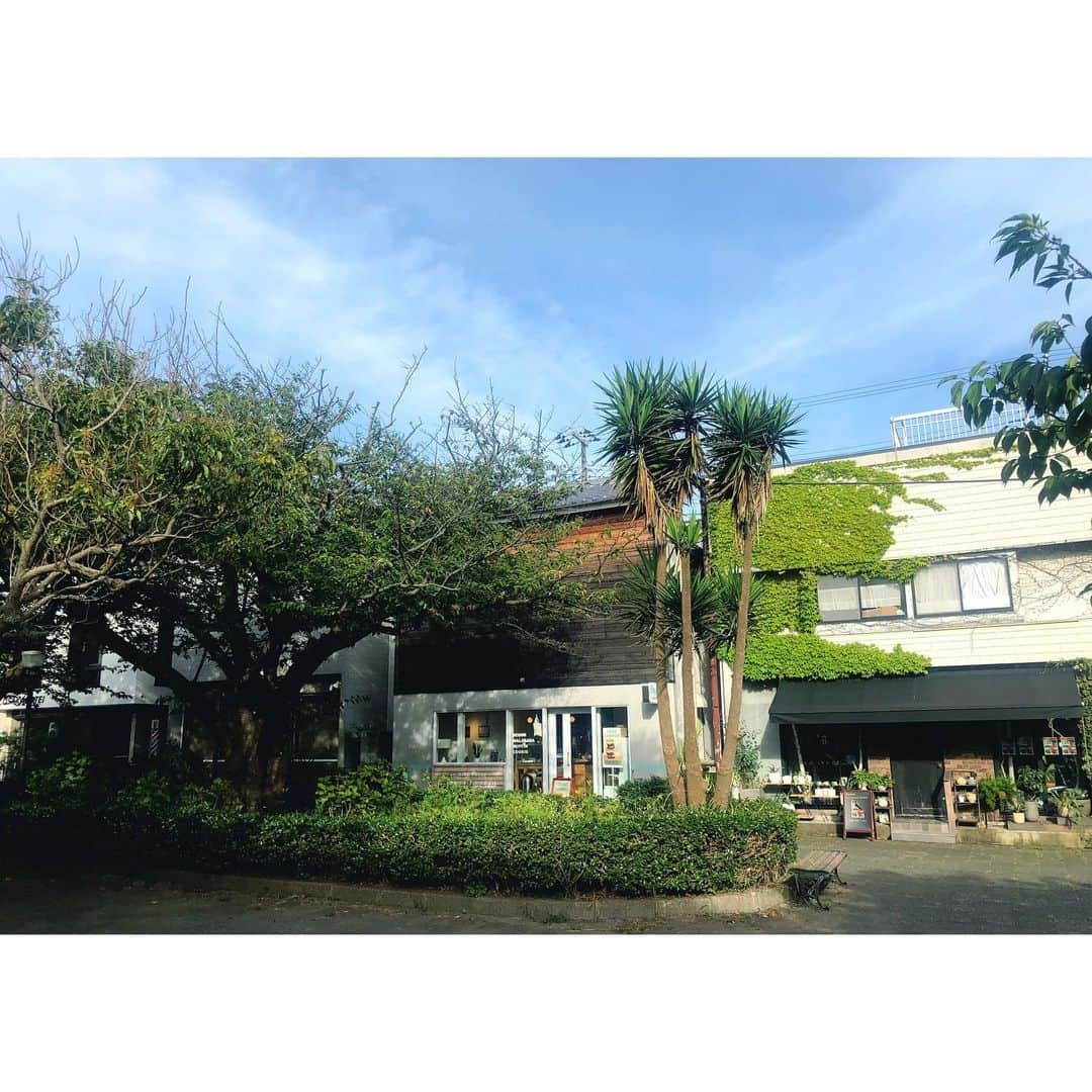 トリイクニコのグルメインスタ