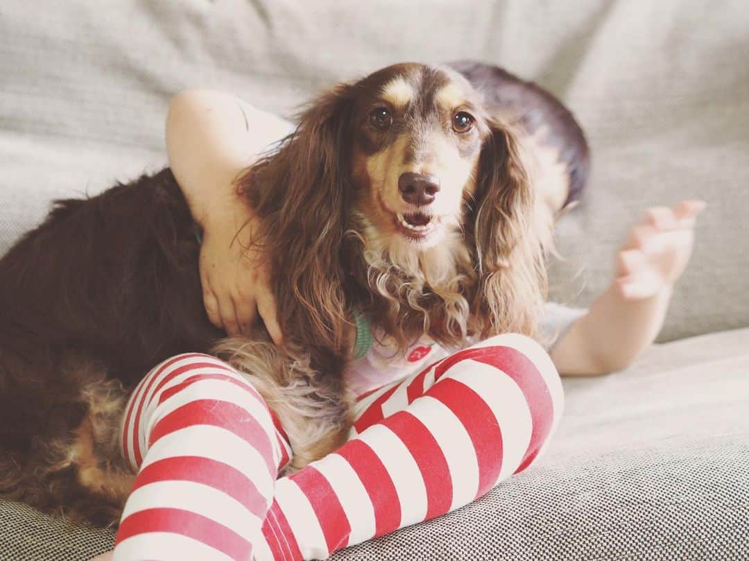 あ〜な（A-Na•̤ᴗ•̤）のインスタグラム：「捕獲される。  手足口病になった息子。 しかもかなりの重症でした。 手足口病が、犬に移る病気じゃなくて本当に良かったと思う瞬間。」