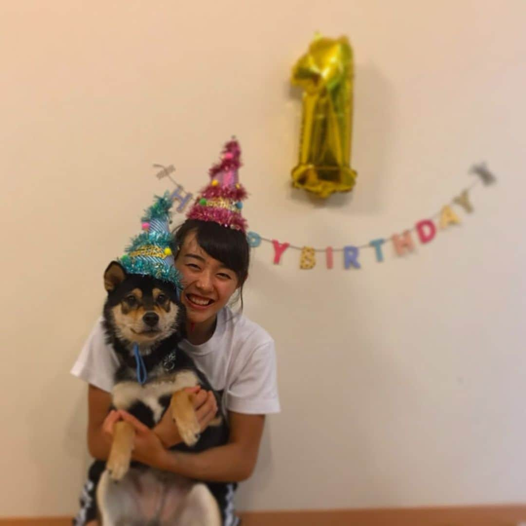 伊藤ふたばさんのインスタグラム写真 - (伊藤ふたばInstagram)「🎂Happy Birthday Wamu🐾 It was his first birthday yesterday✨ #birthday #1yearold」8月6日 20時49分 - futaba_ito