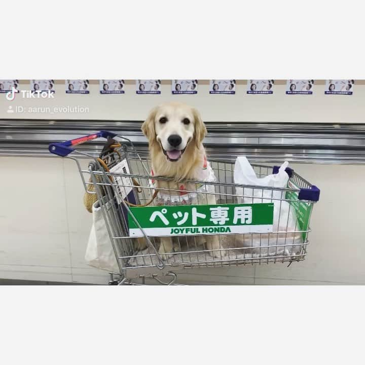 まゆみのインスタグラム