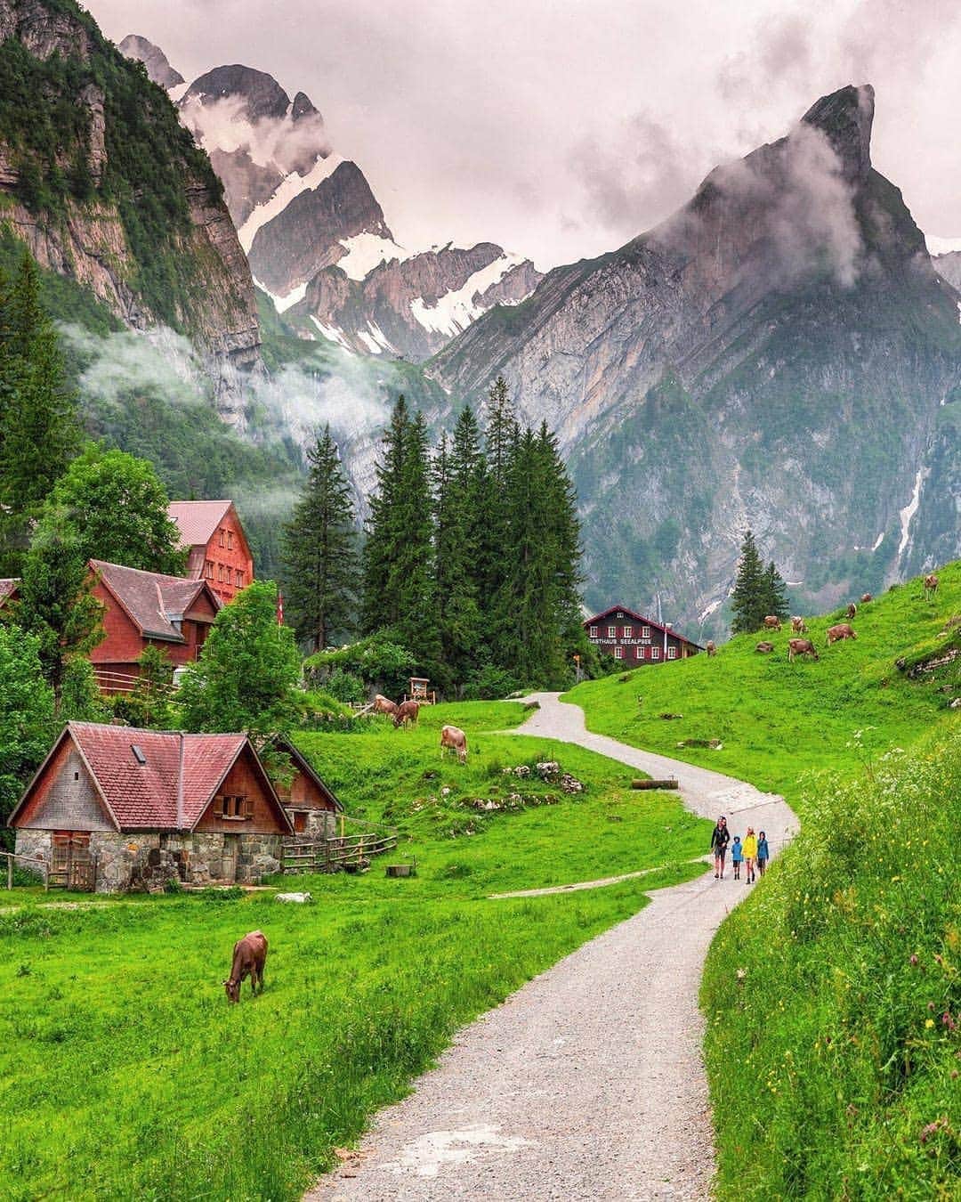 BEAUTIFUL DESTINATIONSさんのインスタグラム写真 - (BEAUTIFUL DESTINATIONSInstagram)「"I love this area of Appenzell, surrounded by impressive spiky peaks in all directions. You can reach it by simply walking up on a service road. But I prefer to start by riding the cable car up to Ebenalp, visiting the famous cliff restaurant, then hiking down the mountain to the lake." How do you like to spend your Summer days? (📷: @sennarelax 📍: Seealpsee, #Switzerland)」8月6日 21時11分 - beautifuldestinations