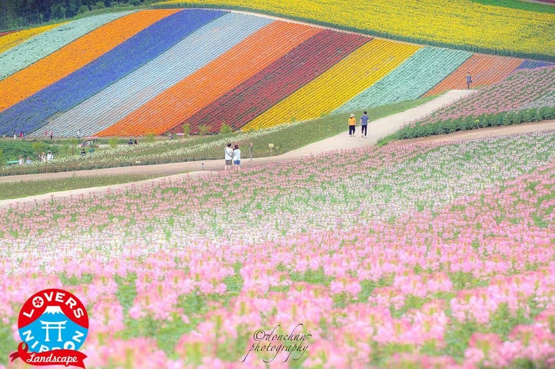 Only Japanese photographsさんのインスタグラム写真 - (Only Japanese photographsInstagram)「🇯🇵Today's best photo of Japan🇯🇵 Featured Artist : 🏆 @dondondondondondonchan 🏆 Featured tag : #Lovers_Nippon Location : 北海道 ( Hokkaido , Japan) Photo selected : @alyssa_4190 ￣￣￣￣￣￣￣￣￣￣￣￣￣￣￣￣￣￣￣￣ 『お願い』  都道府県のみでも結構ですので必ず国内の撮影場所を明記ください。 風景【 #Lovers_Nippon 】 ポートレート【 #Lovers_Nippon_Portrait 】 アート【 #Lovers_Nippon_Artistic 】 ￣￣￣￣￣￣￣￣￣￣￣￣￣￣￣￣￣￣￣￣ 【 #Lightroomweek 】 8/1 ~ 8/31 まで募集 . Adobe Lightroomを使った『After → Before』作品を2枚組の複数枚投稿&3hubフォローで受付(単体写真などは除外となります) . ルール詳細や賞品は告知投稿·ストーリー、もしくはプロフィール貼り付けのリンクURLからご確認ください。 ￣￣￣￣￣￣￣￣￣￣￣￣￣￣￣￣￣￣￣￣」8月6日 21時13分 - lovers_nippon