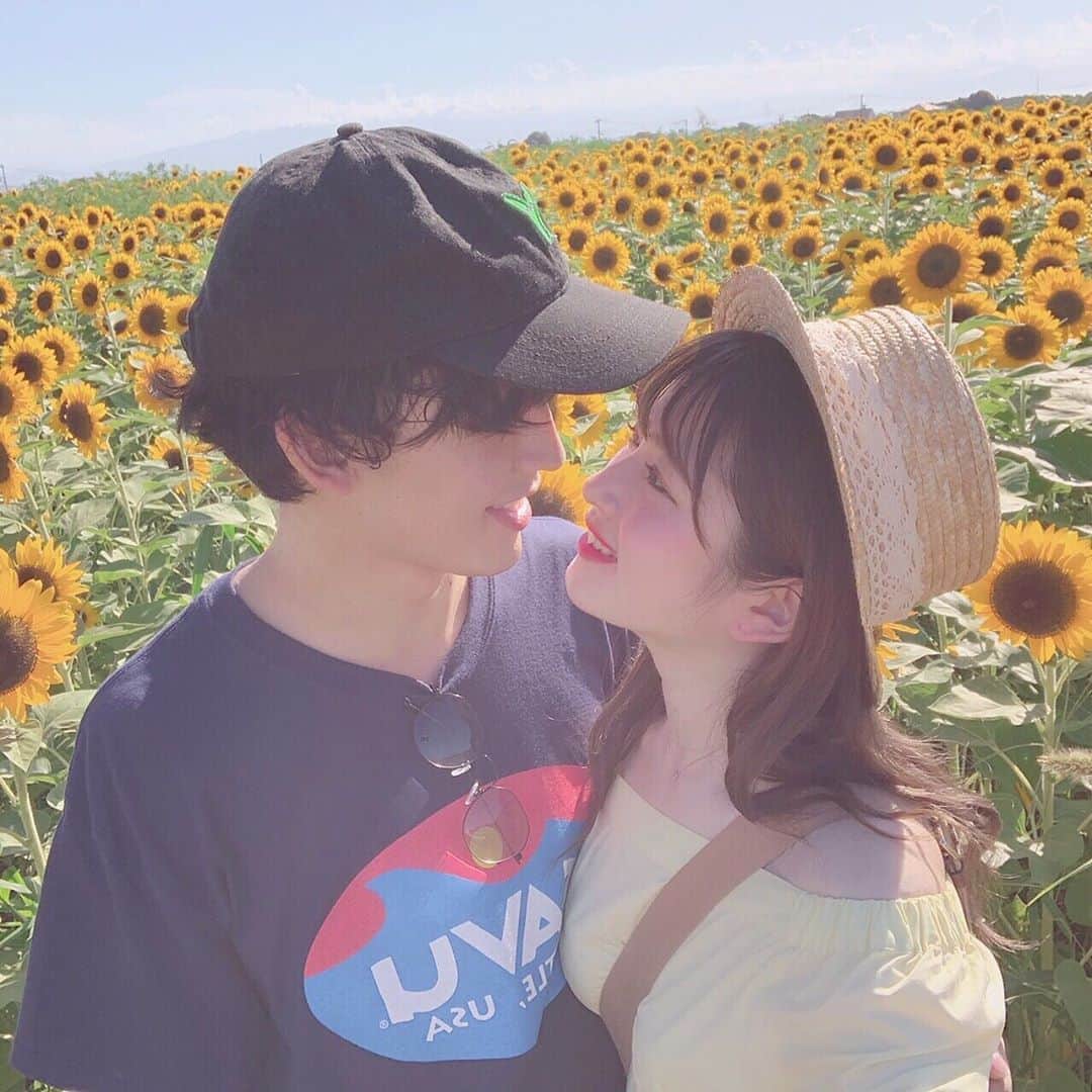 青木菜花のインスタグラム：「.﻿ .﻿ 今年も2人で行ってきたよ🐻💞﻿ 向日葵満開でした🌻🌻﻿ .﻿ . #なのかじ #向日葵 #ひまわり畑 #カップルフォト #お花 #夏 #ソレイユの丘 #instagood #instalike #l4l」
