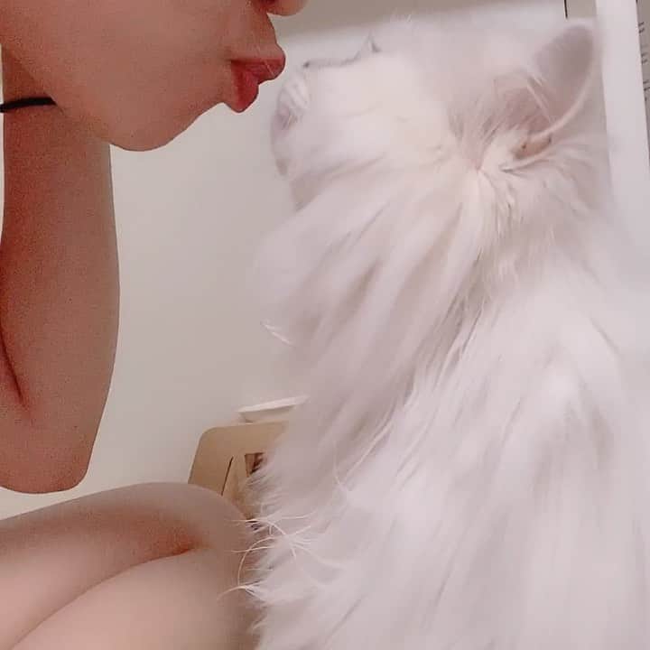 후추네큰언니のインスタグラム：「제 입쭐 지송합니다 🙇🏻‍♀️내가 쪽쪽 소리내니까 후추도 입벌림 ㅋㅋㅋㅋㅋㅋㅋㅋㅋㅋㅋㅋㅋㅋㅋㅋ 이게 눔 귀여워서 자꾸 뽑뽀 하자고 ㅋㅋㅋㅋㅋㅋㅋㅋ  매번 손 - 하이파이브 - 뽀뽀 하고 주니까 빨리 먹고 싶어서 입부터 들이대요 넘 똑똑이쟈나 ㅋㅋㅋㅋㅋ . . . . . #후추  #고양이  #냥스타그램 #캣스타그램  #Hoochu #Hoochuthecat #cat #cats #catstagram #catsofinstagram #topcatphoto #bestmeow #ilovecat #cute #fluffy #petstagram #instacats」