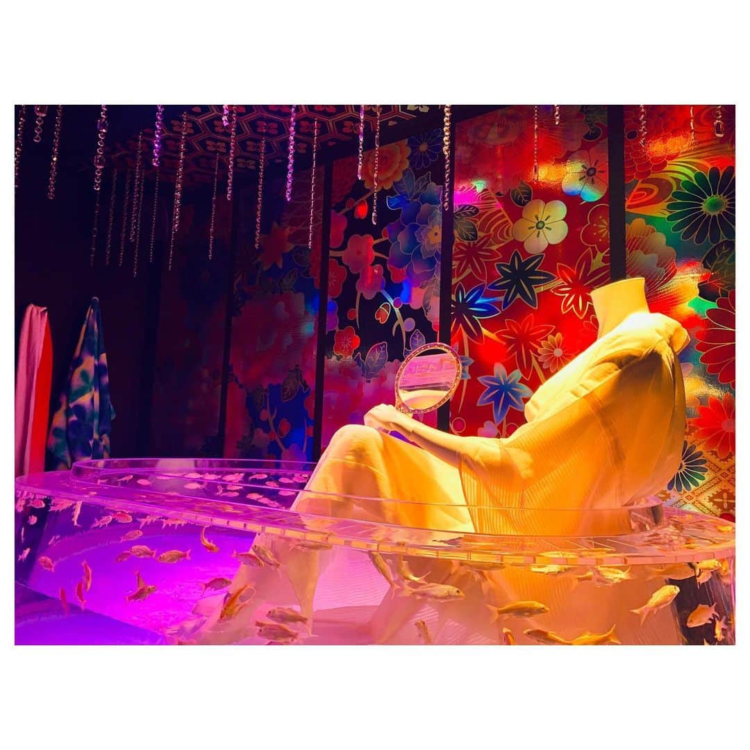 小林由佳さんのインスタグラム写真 - (小林由佳Instagram)「🐠O DE KA KE🐠 in日本橋 ・ ・ 行こう行こういっててて ずーっと行けてなかったアートアクアリウム やっと行けた♡🐠🐡🐟 ・ すごく綺麗で ちょっと臭かったす⌄̈⃝ ・ ・ #ODEKAKE #アートアクアリウム  #artaquarium #nihonbashi #ハイライトは #またしてもフザけているTX #離れてマッシュルーム🍄」8月6日 22時58分 - yuca_tan