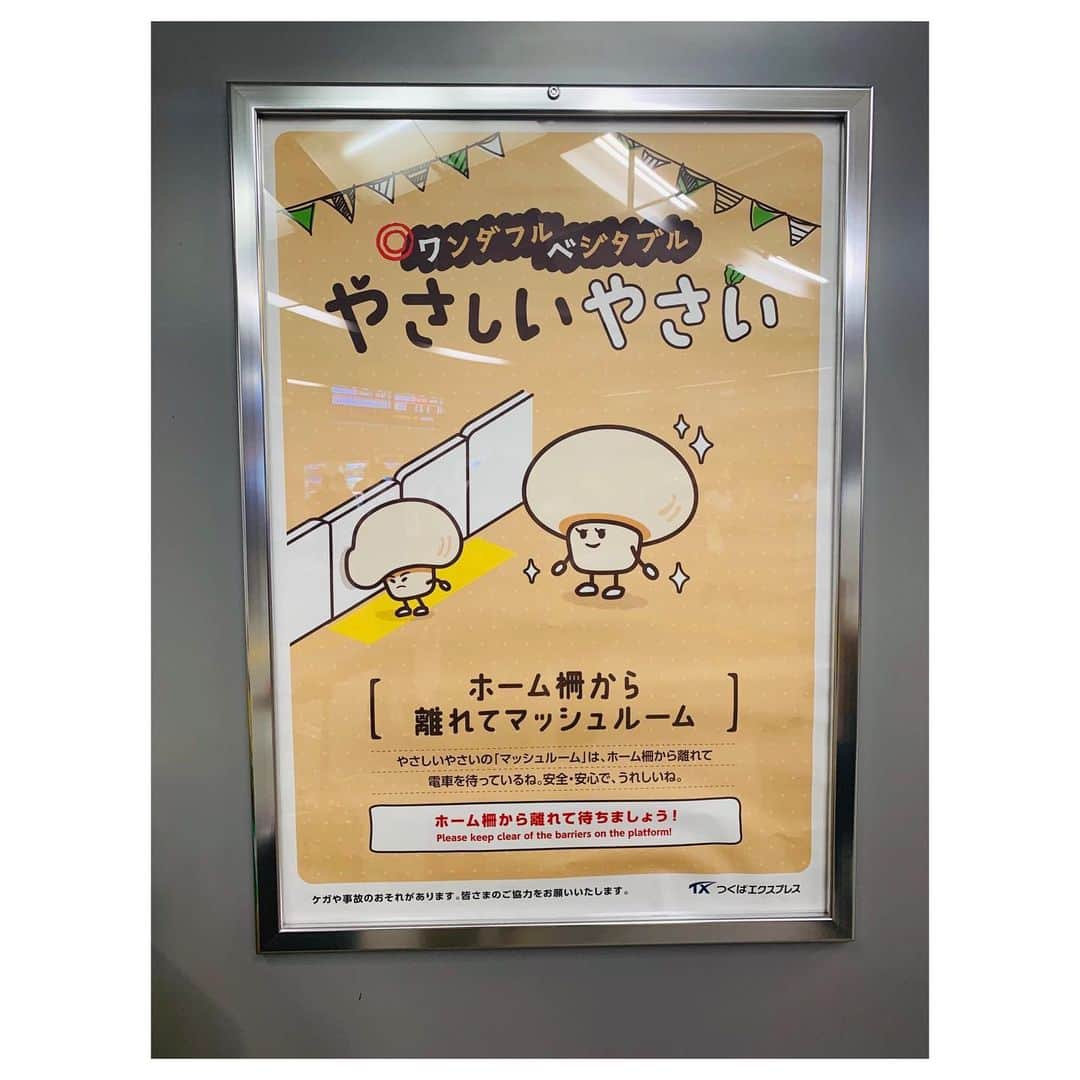 小林由佳さんのインスタグラム写真 - (小林由佳Instagram)「🐠O DE KA KE🐠 in日本橋 ・ ・ 行こう行こういっててて ずーっと行けてなかったアートアクアリウム やっと行けた♡🐠🐡🐟 ・ すごく綺麗で ちょっと臭かったす⌄̈⃝ ・ ・ #ODEKAKE #アートアクアリウム  #artaquarium #nihonbashi #ハイライトは #またしてもフザけているTX #離れてマッシュルーム🍄」8月6日 22時58分 - yuca_tan