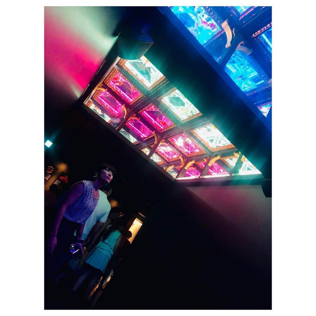 小林由佳さんのインスタグラム写真 - (小林由佳Instagram)「🐠O DE KA KE🐠 in日本橋 ・ ・ 行こう行こういっててて ずーっと行けてなかったアートアクアリウム やっと行けた♡🐠🐡🐟 ・ すごく綺麗で ちょっと臭かったす⌄̈⃝ ・ ・ #ODEKAKE #アートアクアリウム  #artaquarium #nihonbashi #ハイライトは #またしてもフザけているTX #離れてマッシュルーム🍄」8月6日 22時58分 - yuca_tan