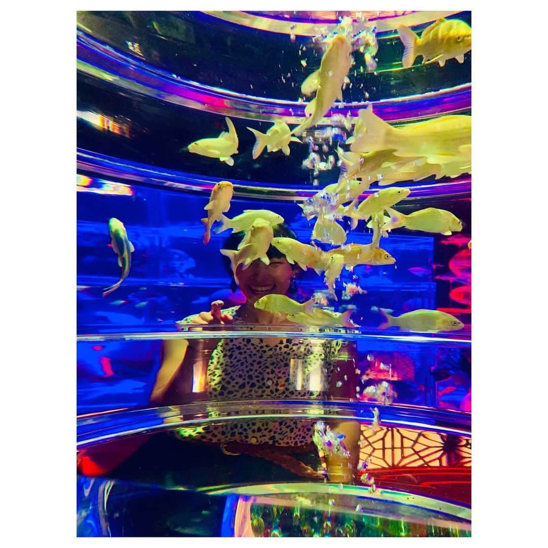 小林由佳さんのインスタグラム写真 - (小林由佳Instagram)「🐠O DE KA KE🐠 in日本橋 ・ ・ 行こう行こういっててて ずーっと行けてなかったアートアクアリウム やっと行けた♡🐠🐡🐟 ・ すごく綺麗で ちょっと臭かったす⌄̈⃝ ・ ・ #ODEKAKE #アートアクアリウム  #artaquarium #nihonbashi #ハイライトは #またしてもフザけているTX #離れてマッシュルーム🍄」8月6日 22時58分 - yuca_tan