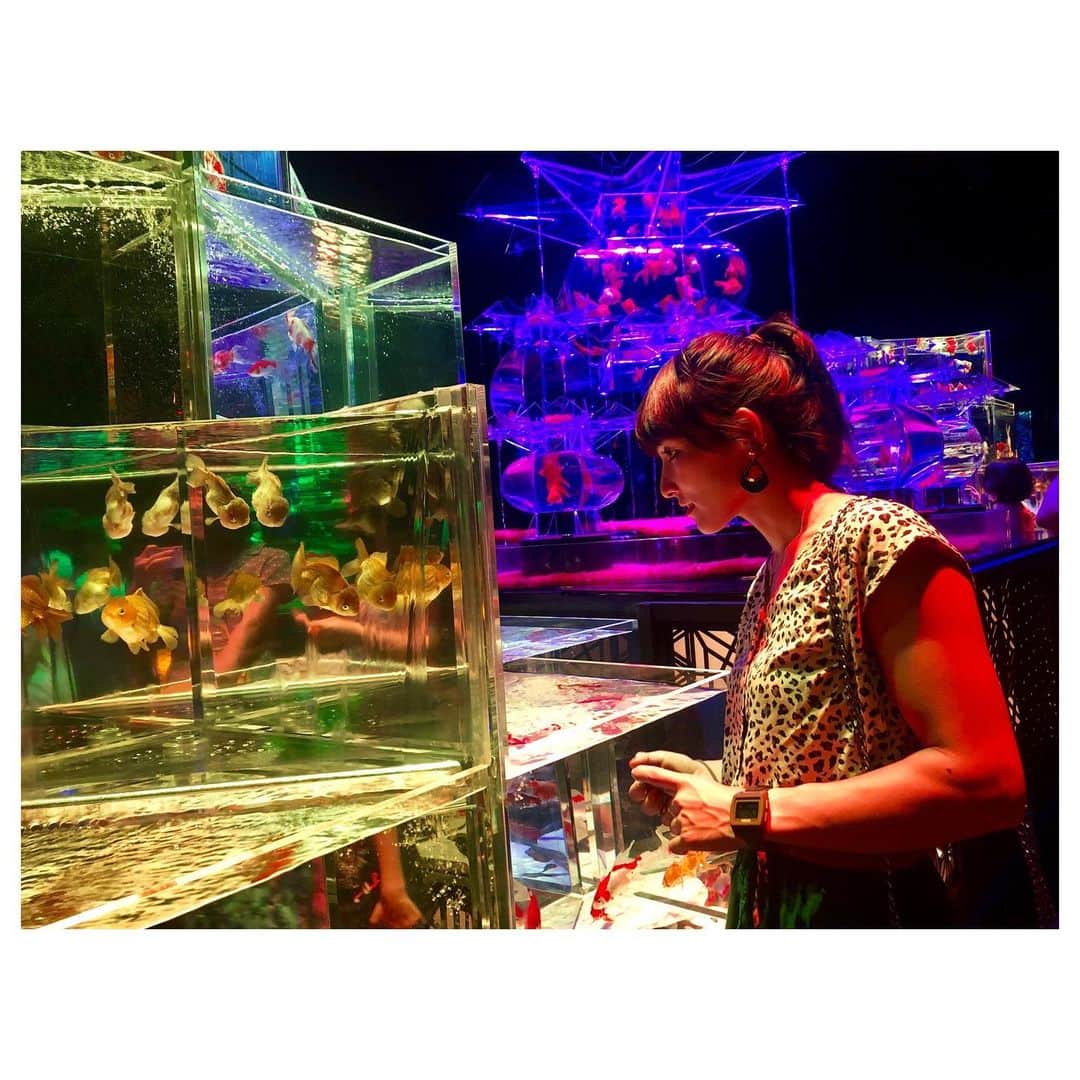 小林由佳さんのインスタグラム写真 - (小林由佳Instagram)「🐠O DE KA KE🐠 in日本橋 ・ ・ 行こう行こういっててて ずーっと行けてなかったアートアクアリウム やっと行けた♡🐠🐡🐟 ・ すごく綺麗で ちょっと臭かったす⌄̈⃝ ・ ・ #ODEKAKE #アートアクアリウム  #artaquarium #nihonbashi #ハイライトは #またしてもフザけているTX #離れてマッシュルーム🍄」8月6日 22時58分 - yuca_tan