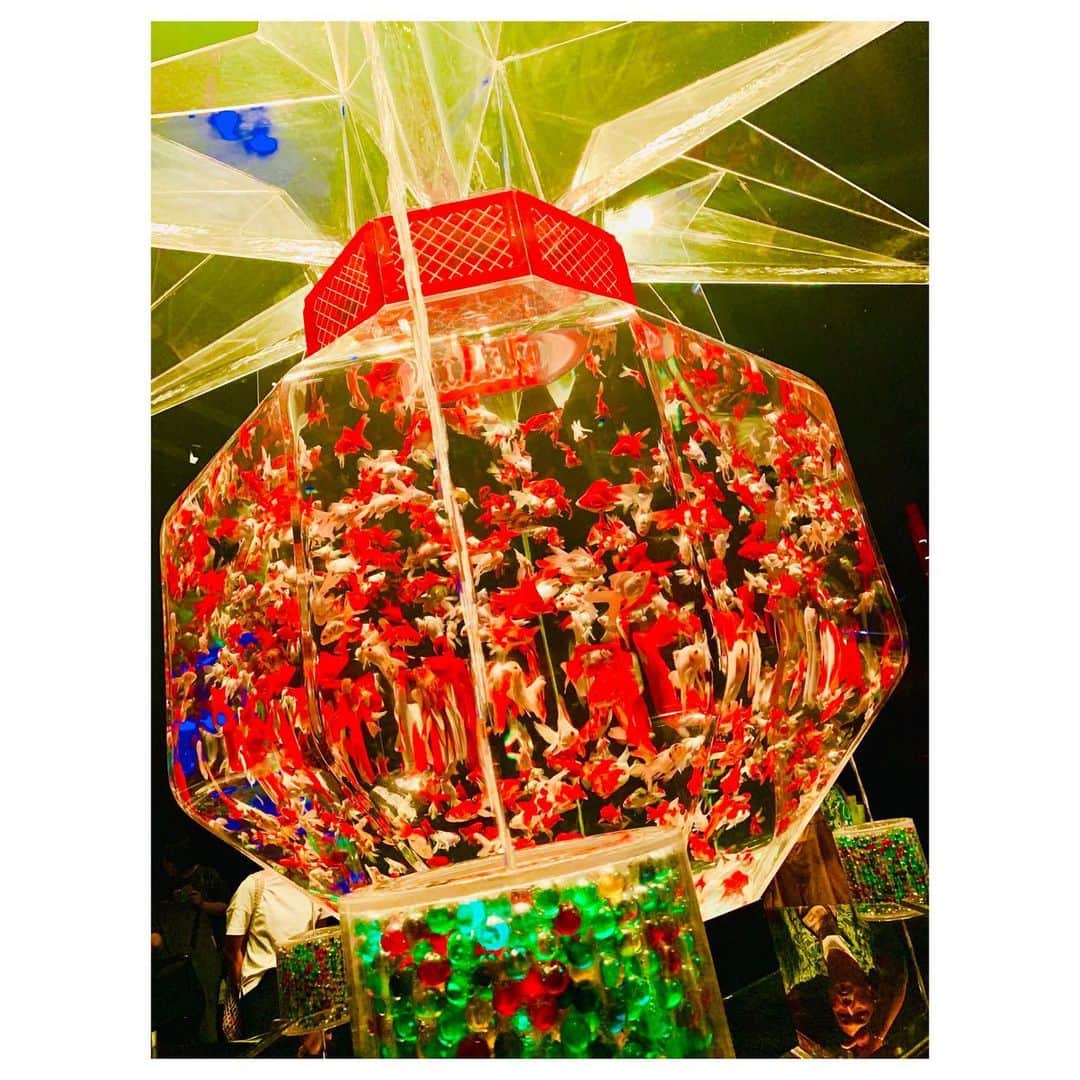 小林由佳さんのインスタグラム写真 - (小林由佳Instagram)「🐠O DE KA KE🐠 in日本橋 ・ ・ 行こう行こういっててて ずーっと行けてなかったアートアクアリウム やっと行けた♡🐠🐡🐟 ・ すごく綺麗で ちょっと臭かったす⌄̈⃝ ・ ・ #ODEKAKE #アートアクアリウム  #artaquarium #nihonbashi #ハイライトは #またしてもフザけているTX #離れてマッシュルーム🍄」8月6日 22時58分 - yuca_tan