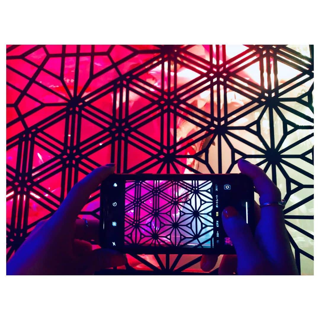 小林由佳さんのインスタグラム写真 - (小林由佳Instagram)「🐠O DE KA KE🐠 in日本橋 ・ ・ 行こう行こういっててて ずーっと行けてなかったアートアクアリウム やっと行けた♡🐠🐡🐟 ・ すごく綺麗で ちょっと臭かったす⌄̈⃝ ・ ・ #ODEKAKE #アートアクアリウム  #artaquarium #nihonbashi #ハイライトは #またしてもフザけているTX #離れてマッシュルーム🍄」8月6日 22時58分 - yuca_tan