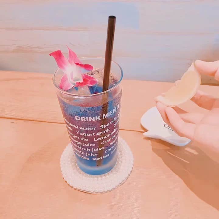 今吉めぐみのグルメインスタ