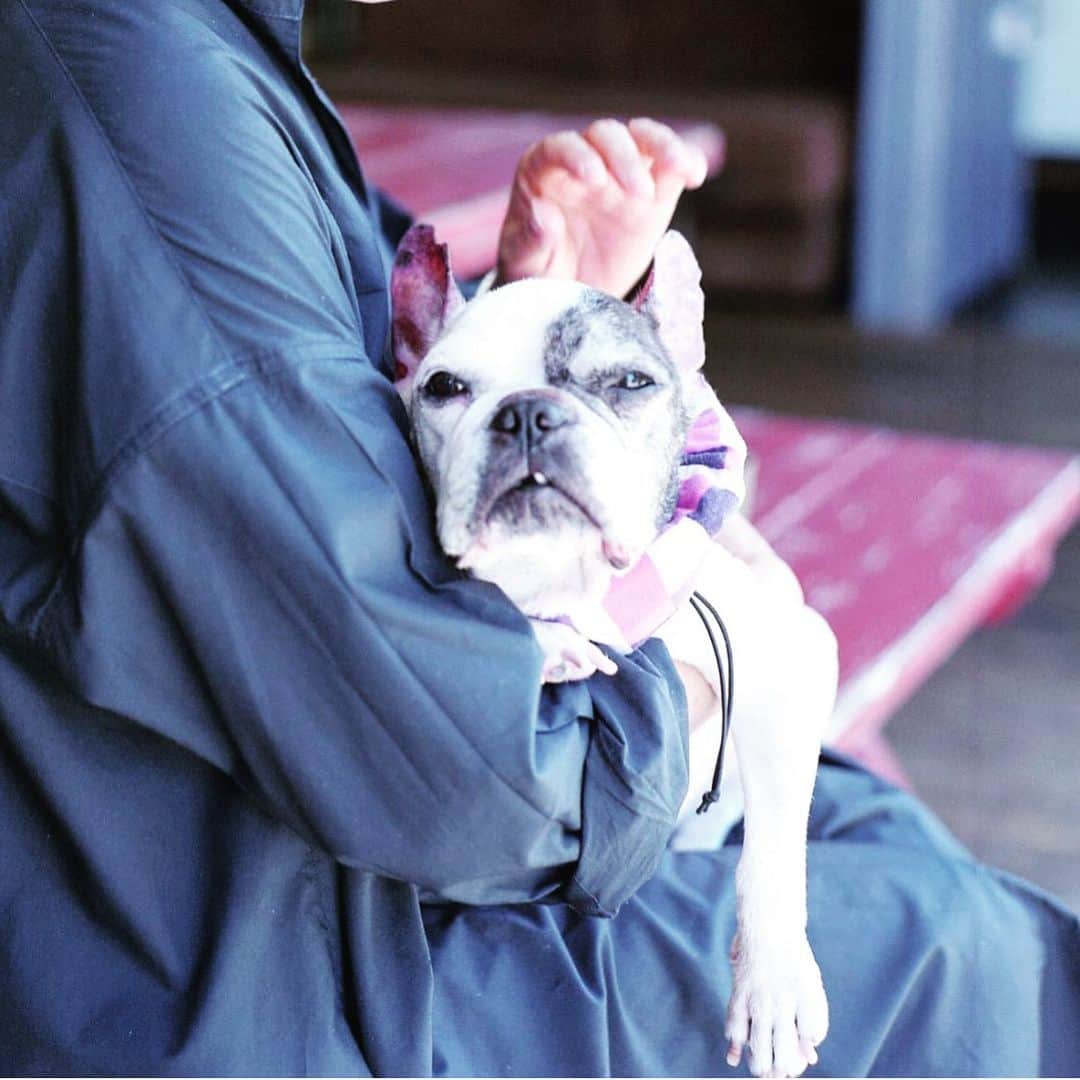 ゆうゆのグルメインスタ