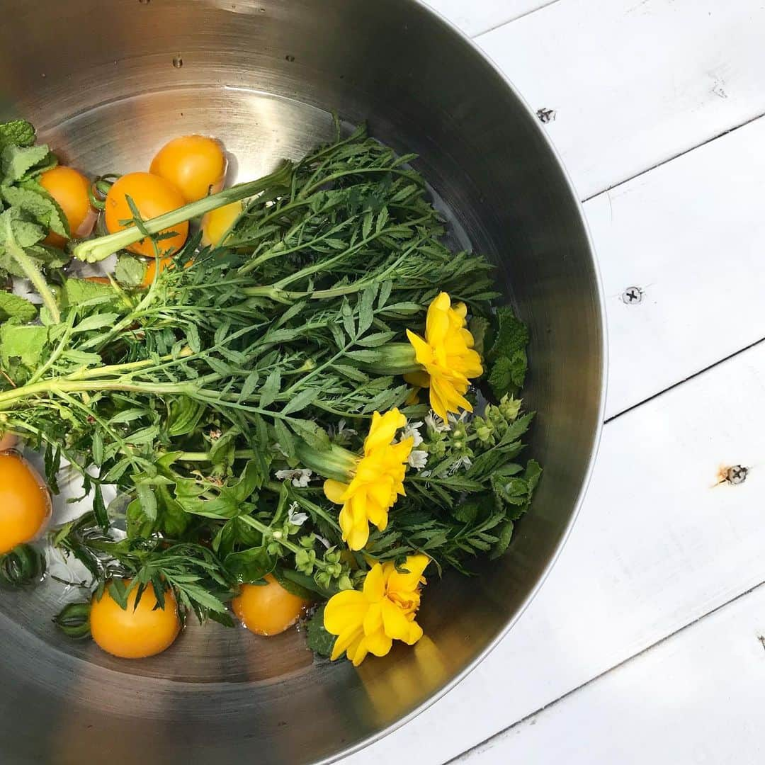 増山敬子さんのインスタグラム写真 - (増山敬子Instagram)「撮影day 朝の模擬たて野菜とお花🌼🍅」8月7日 8時42分 - keikomasuyama