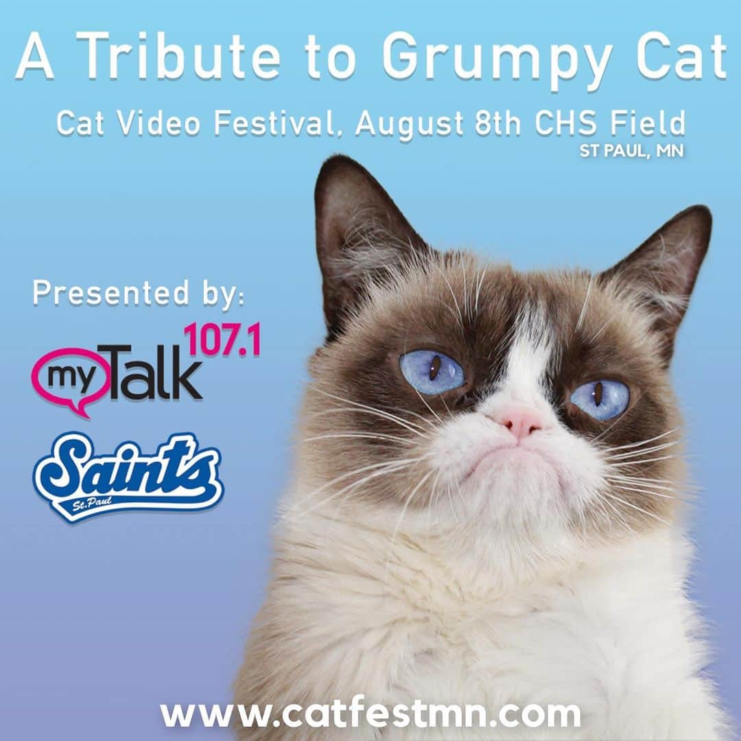 Grumpy Catさんのインスタグラム写真 - (Grumpy CatInstagram)「❤️A Tribute To Grumpy Cat❤️ Thursday, August 8th at the Cat Video Festival in St Paul, MN More information at: http://www.catfestmn.com (link in bio) #GrumpyCatForever」8月7日 9時40分 - realgrumpycat