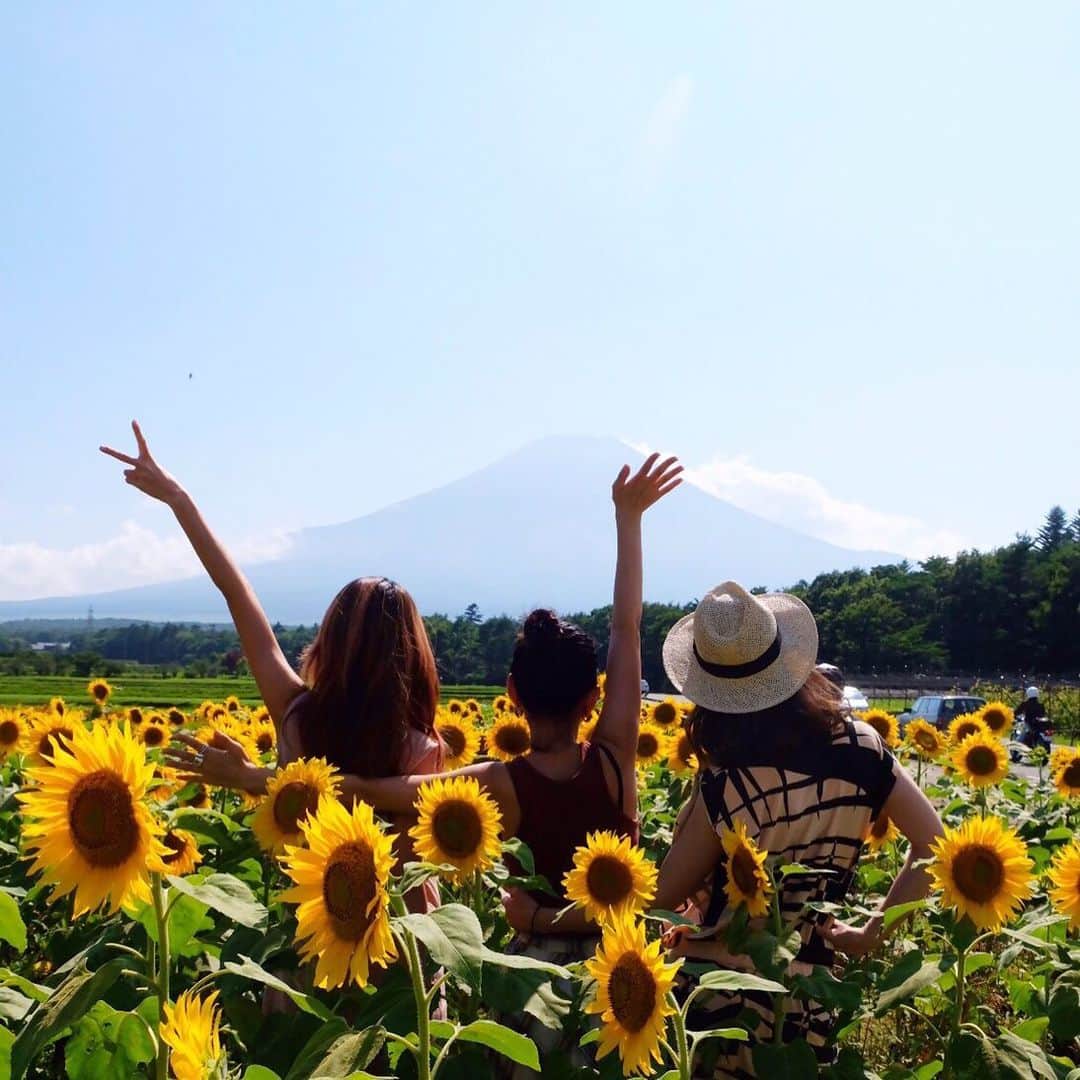 千葉アリサのインスタグラム：「Hello summer 🌻🗻🌻🌻 絶景かな。最高だな。 ・ ・  #向日葵と富士山  #元気印にありがとう #山中湖 #あの気候が恋し #刻んだ夏の思い出  #2019 #enjoysummer」
