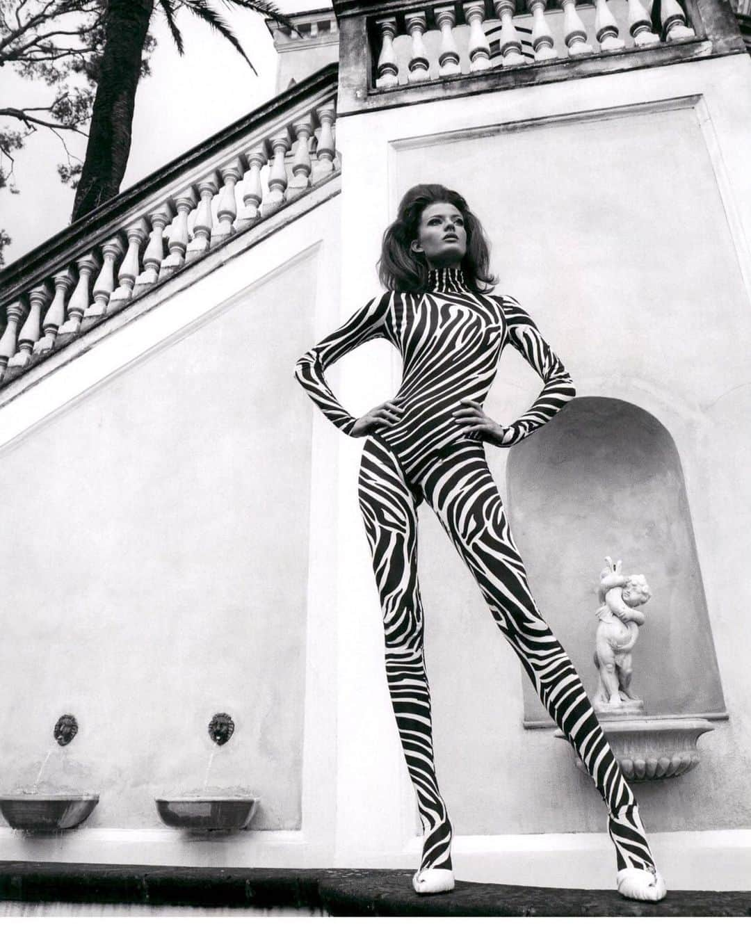 ドナテラ・ヴェルサーチさんのインスタグラム写真 - (ドナテラ・ヴェルサーチInstagram)「Full zebra mood today! @tatlermagazine editorial 💕」8月7日 0時58分 - donatella_versace