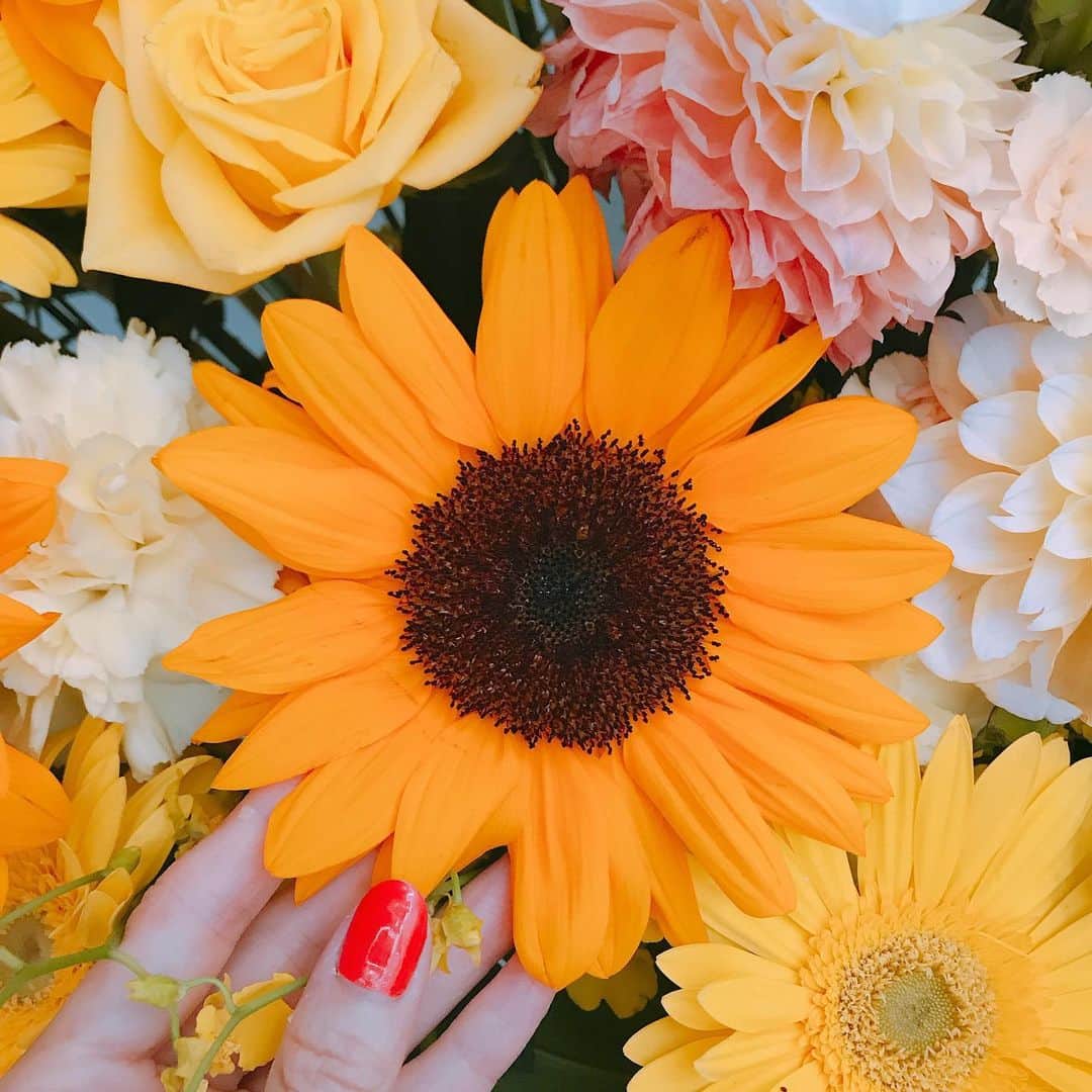 愛内里菜のインスタグラム：「たくさんのお祝いのお花たち🌼🌸💐🌹🌷🏵🌻﻿ ﻿ ありがとうございます‼️‼️😆🙏﻿ ﻿ だーいすきな ひまわり いっぱい🌻🥰﻿ ﻿ ﻿ #愛内里菜 改め#R として #歌手 再始動﻿ #垣内りか #垣内倶楽部 #バンド ﻿ #新曲発表 #邦ロック#ミュージック#音楽の力﻿ #音楽最高 ﻿ #ライブ大好き #ライブツアー #ライブバンド﻿ #ライブハウス #ライブ﻿ #大阪 #一体化 #絆 #盛り上がりたい #会いたい﻿ #感謝 #リスタート ﻿」