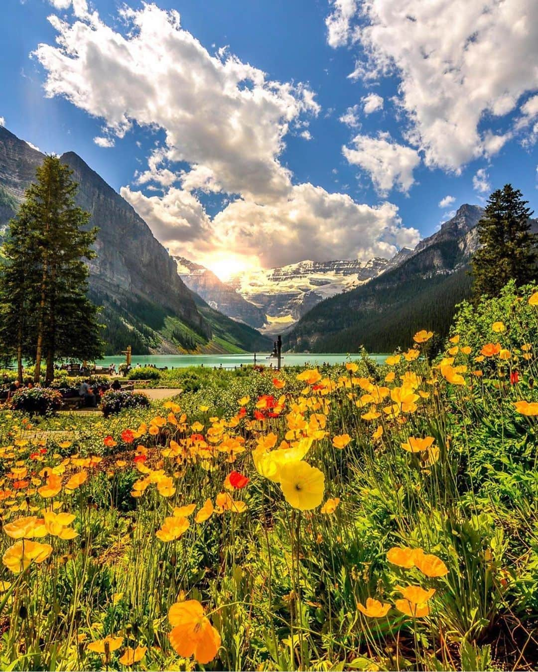 Wonderful Placesさんのインスタグラム写真 - (Wonderful PlacesInstagram)「Summertime in Lake Louise - Alberta ✨💛💛💛✨ . Pictures by ✨✨@cbezerraphotos✨✨ #wonderful_places for a feature 💛」8月7日 1時39分 - wonderful_places