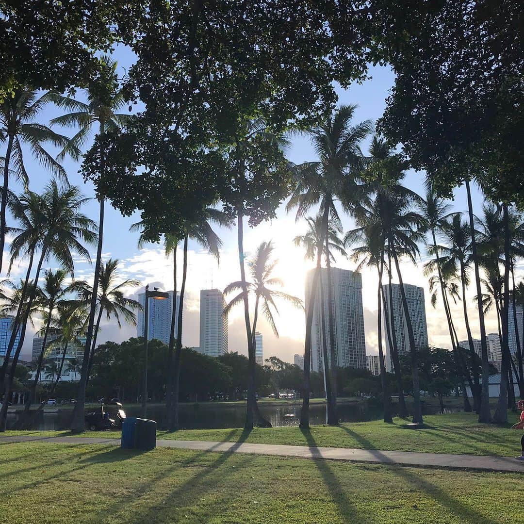 吉村美紀さんのインスタグラム写真 - (吉村美紀Instagram)「アラモアナビーチパークへ朝のお散歩^_^ #hawaii#アラモアナビーチパーク#お散歩#早起き」8月7日 1時59分 - lespros_miki