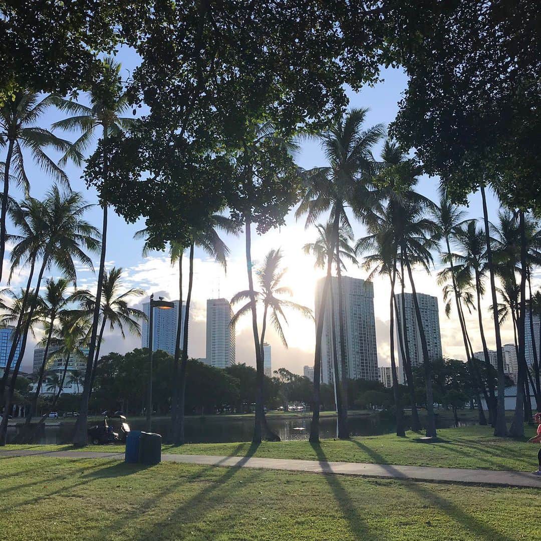 吉村美紀のインスタグラム：「アラモアナビーチパークへ朝のお散歩^_^ #hawaii#アラモアナビーチパーク#お散歩#早起き」