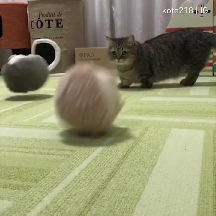Aww Clubのインスタグラム