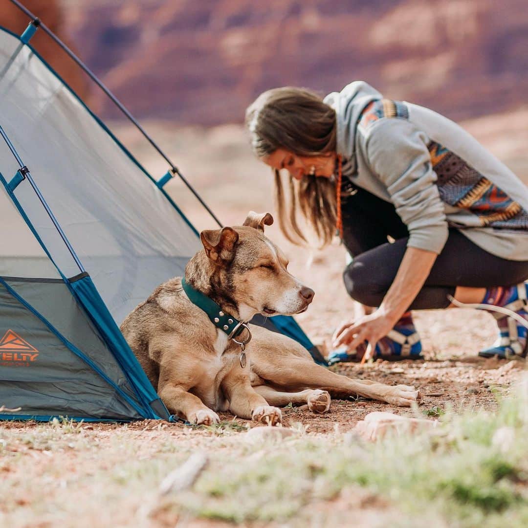 ケルティさんのインスタグラム写真 - (ケルティInstagram)「Calling all the outdoor AND dog lovers out there! If you live for your time in the backcountry & have been wondering how to (responsibly) raise an adventure dog who loves camping and hiking as much as you do, then check out the blog for “How to Raise an Adventure Dog” from 2 of our favorite dog moms: @tuckerleo_da_huskies & @nelleandlouise . Link in profile & enter the Dog Days of Summer Giveaway! #builtforplay #keltybuilt #campingwithdogs. 📷 @talesofvoyage of @tuckerleo_da_huskies」8月7日 2時02分 - keltyusa