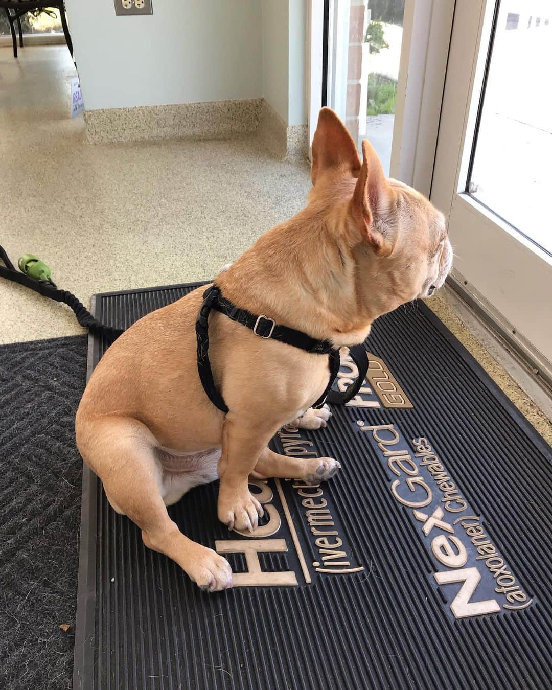 Hamlinのインスタグラム：「Deep thoughts. 😌 .......... #zen #deepthoughts」