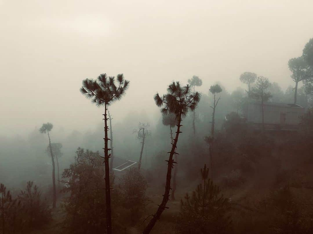 エヴァンジェリン・リリーさんのインスタグラム写真 - (エヴァンジェリン・リリーInstagram)「@the.kumaon hotel in the morning, midday and at dusk. 🌲 This place is the #oasis I’ve been dreaming about. . #rest #peace #ease #himalayas #india #forest #views」8月7日 6時33分 - evangelinelillyofficial