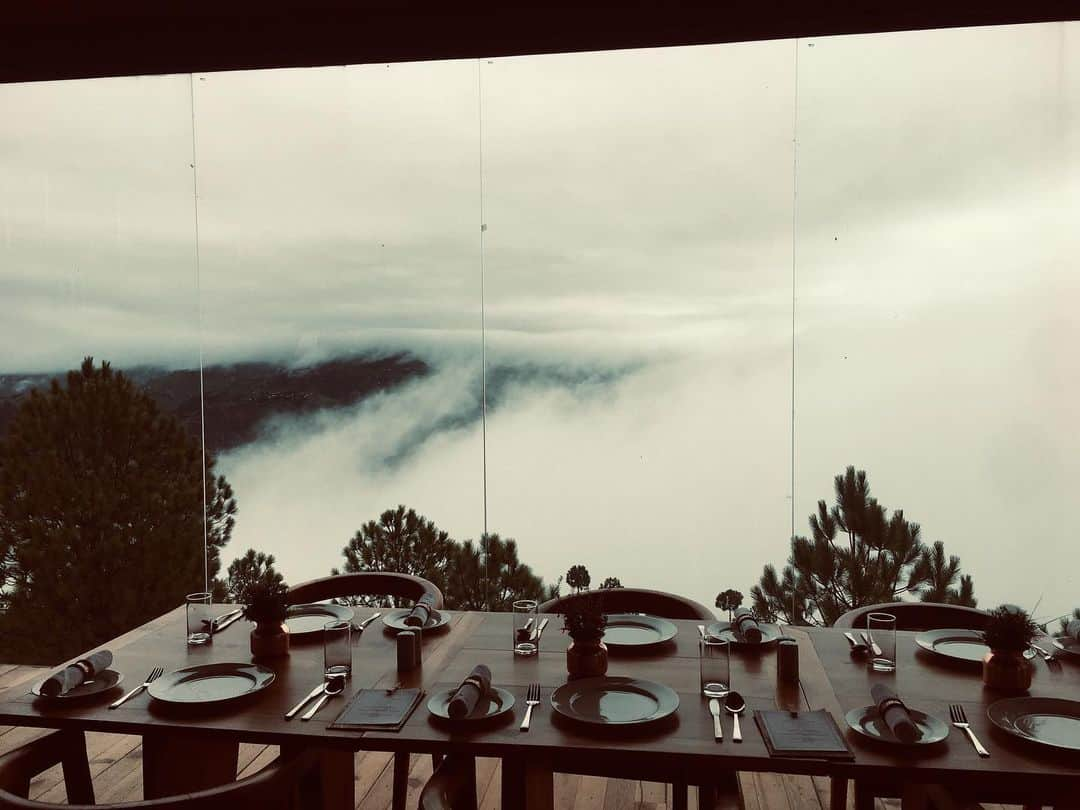 エヴァンジェリン・リリーさんのインスタグラム写真 - (エヴァンジェリン・リリーInstagram)「@the.kumaon hotel in the morning, midday and at dusk. 🌲 This place is the #oasis I’ve been dreaming about. . #rest #peace #ease #himalayas #india #forest #views」8月7日 6時33分 - evangelinelillyofficial