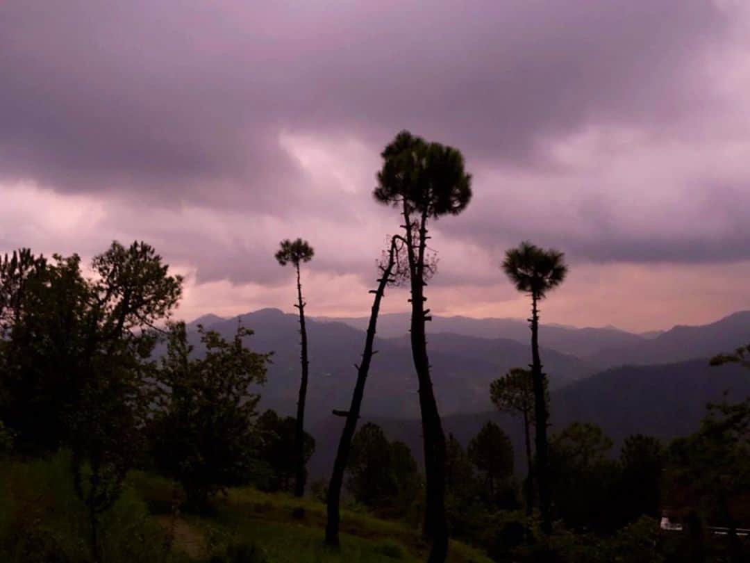 エヴァンジェリン・リリーさんのインスタグラム写真 - (エヴァンジェリン・リリーInstagram)「@the.kumaon hotel in the morning, midday and at dusk. 🌲 This place is the #oasis I’ve been dreaming about. . #rest #peace #ease #himalayas #india #forest #views」8月7日 6時33分 - evangelinelillyofficial