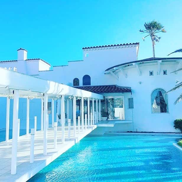 リストランテAO[公式]?イタリアン(青山店/逗子店)のグルメインスタ