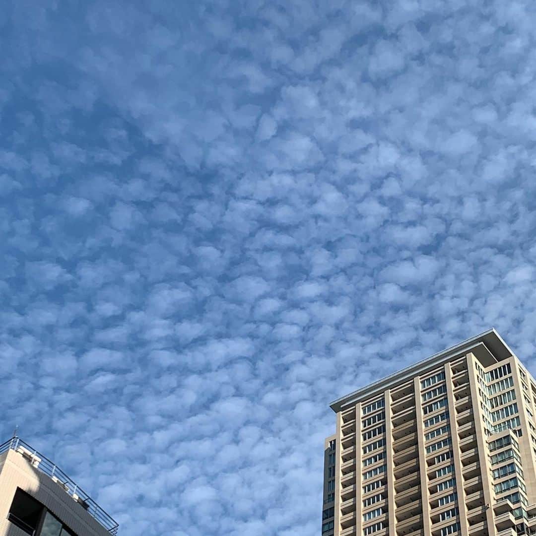 安倍宏行さんのインスタグラム写真 - (安倍宏行Instagram)「綺麗な #うろこ雲」8月7日 7時11分 - higeabe
